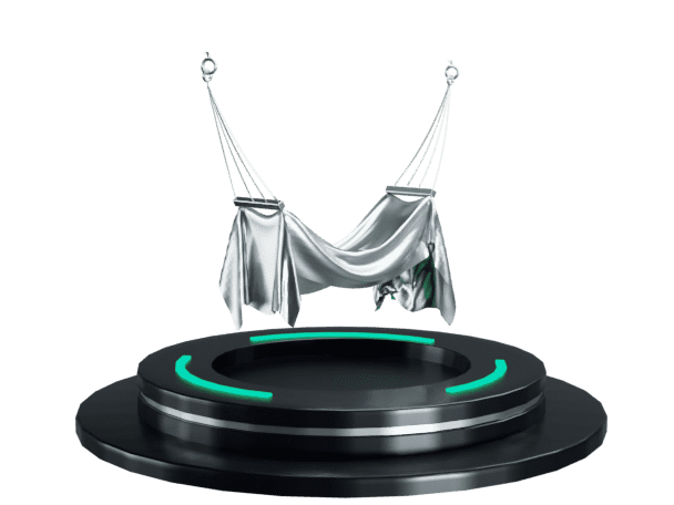 Spin
